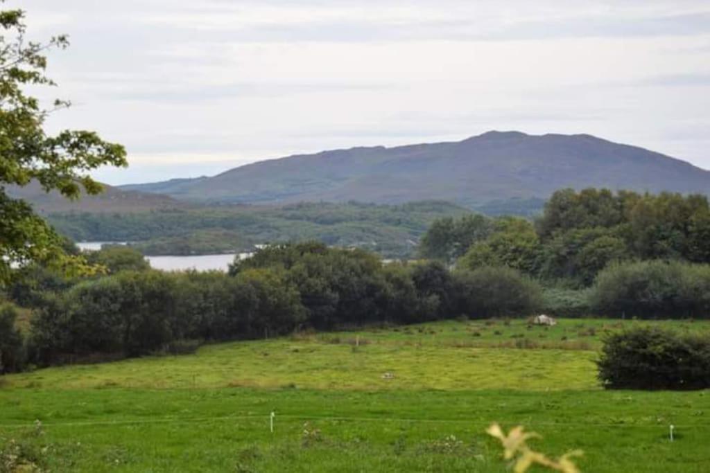 Twin Lake View - Bungalow In Pontoon Foxford Εξωτερικό φωτογραφία